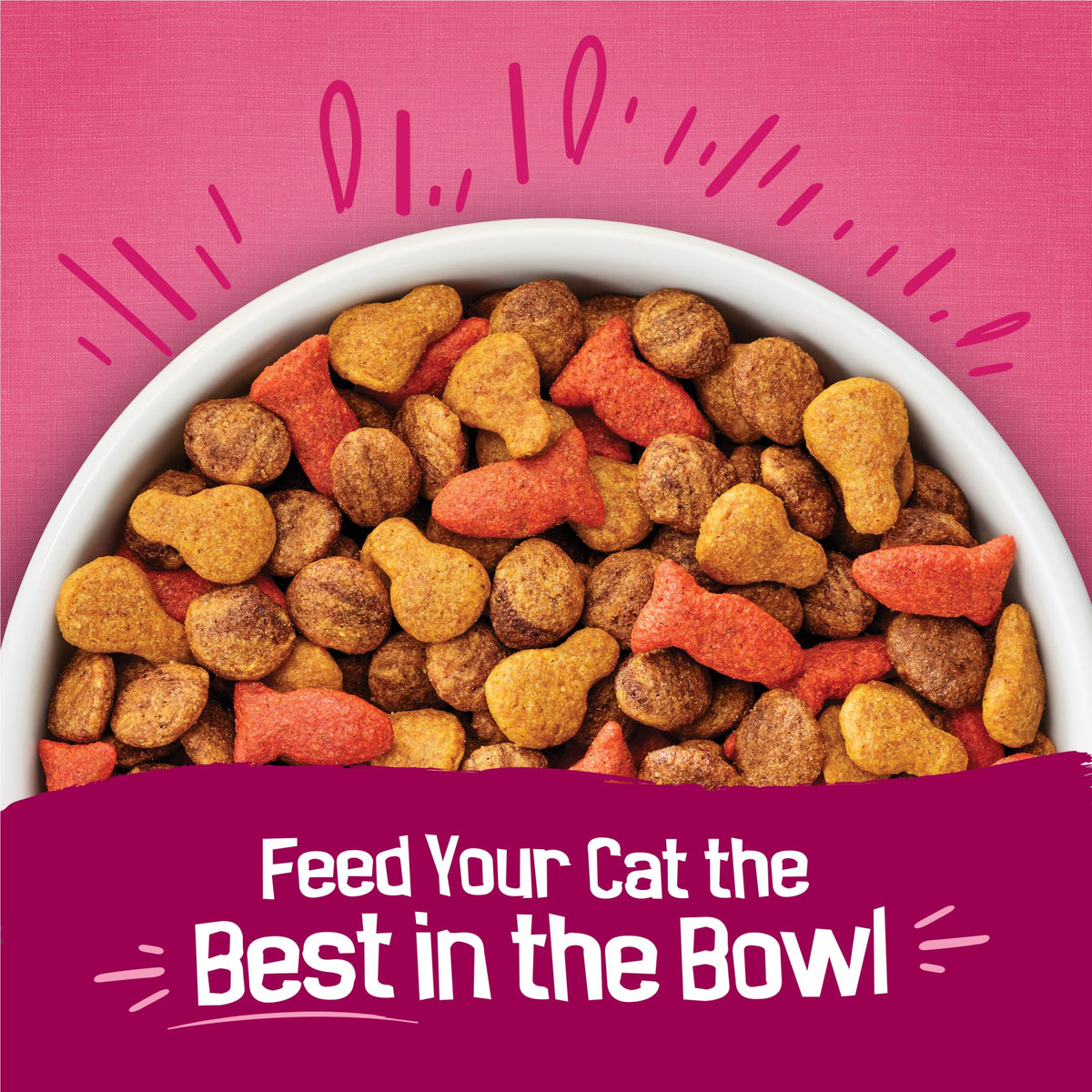 (2 pack) Purina Friskies Dry Cat Food Gravy Swirl'd with Flavors of Chicken, Salmon and Gravy Dry Cat Food, 16 lb Bag — product image 3