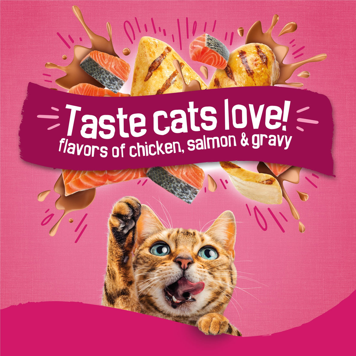(2 pack) Purina Friskies Dry Cat Food Gravy Swirl'd with Flavors of Chicken, Salmon and Gravy Dry Cat Food, 16 lb Bag — product image 4