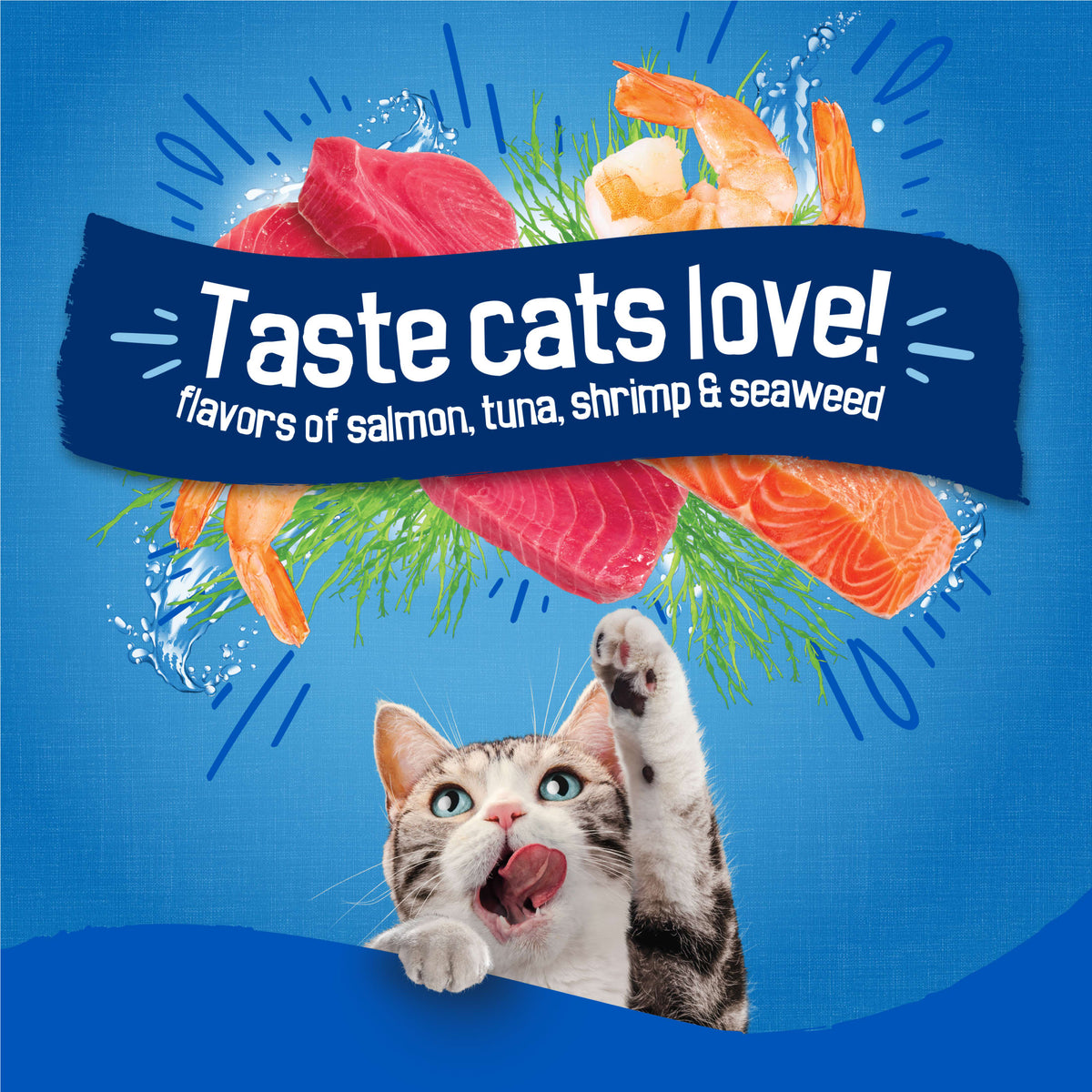 (2 pack) Purina Friskies Dry Cat Food Seafood Sensations with Salmon, Tuna, and Shrimp Flavors, 3.15 lb Bag — product image 5