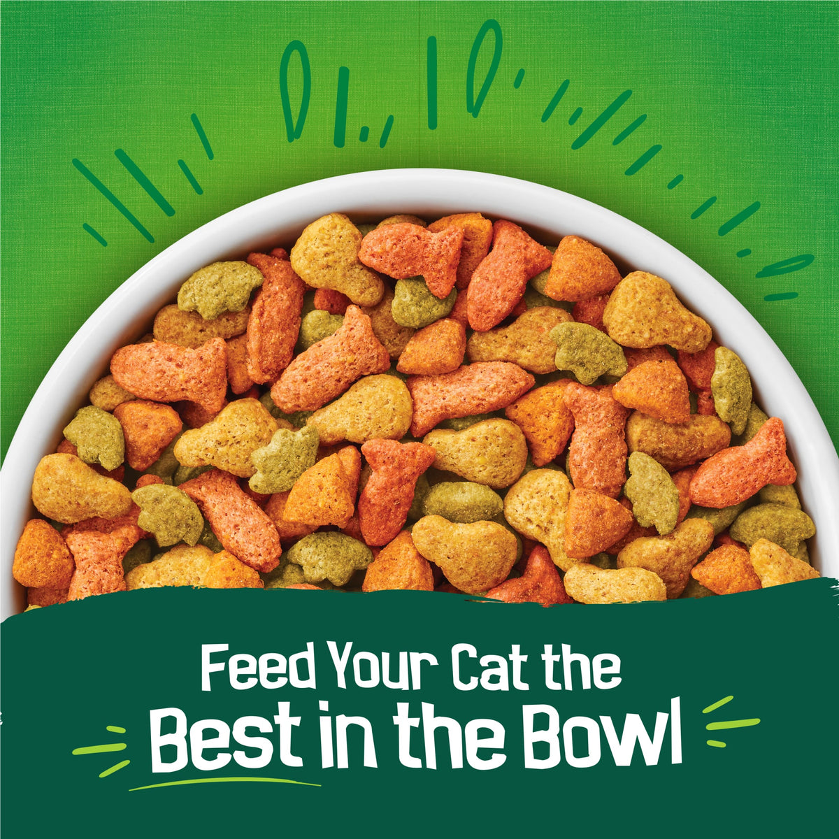 (2 pack) Purina Friskies Indoor Delights Dry Cat Food Flavors of Chicken, Salmon, Peas, and Carrots, 3.15 lb Bag — product image 4