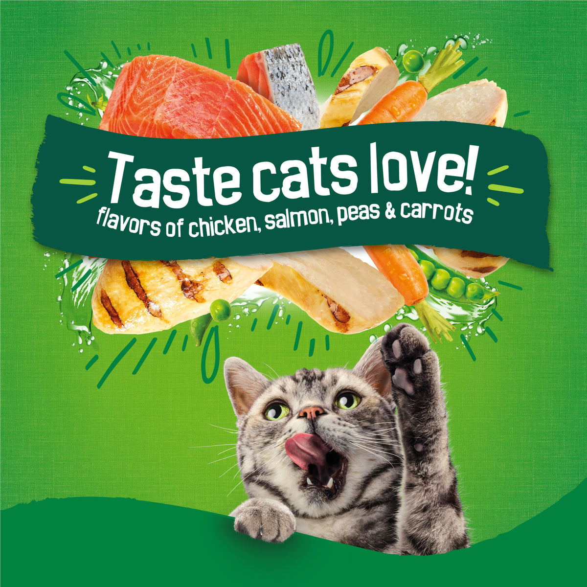 (2 pack) Purina Friskies Indoor Delights Dry Cat Food Flavors of Chicken, Salmon, Peas, and Carrots, 3.15 lb Bag — product image 5