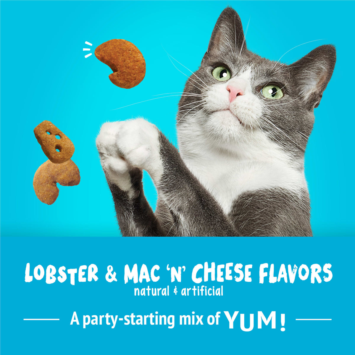 (2 pack) Purina Friskies Party Mix Lobster and Mac 'N' Cheese Flavor Treats for Cats, 6 oz Bag, 6 Pack — product image 4