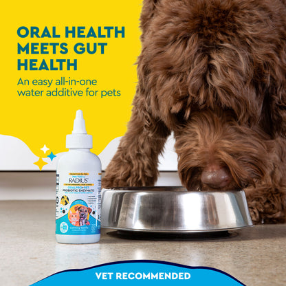 (2 pack) RADIUS Probiotic Dental Care Water Additive, Clean and Protect Teeth, 4 oz Recycled Bottle, for Dogs and Cats — product image 3