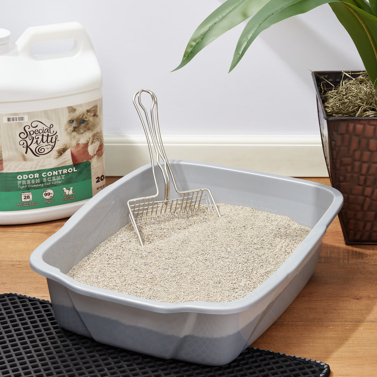 (2 pack) Special Kitty Tight Clumping Clay Cat Litter, Fresh Scent, 20 lb Jug, 1 Count — product image 3