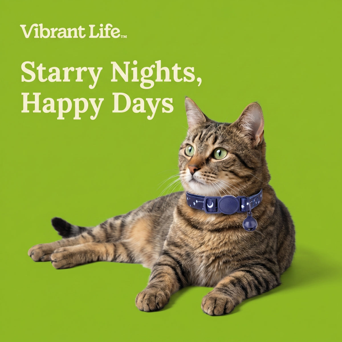 (2 pack) Vibrant Life Break-Away Adjustable Cat Collar, Blue Celestial, One Size — product image 5