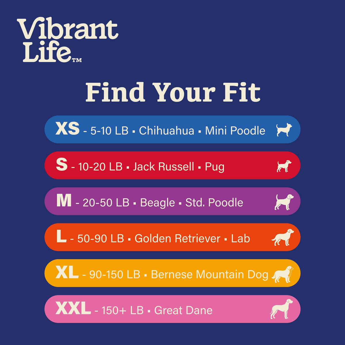 (2 pack) Vibrant Life Break-Away Adjustable Cat Collar, Blue Celestial, One Size — product image 7
