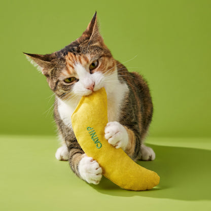 (3 pack) Vibrant Life Catnip Banana Cat Toy — product image 3