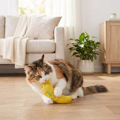 (3 pack) Vibrant Life Catnip Banana Cat Toy — product image 4