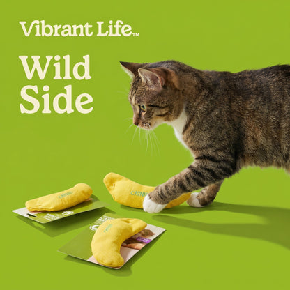 (3 pack) Vibrant Life Catnip Banana Cat Toy — product image 5
