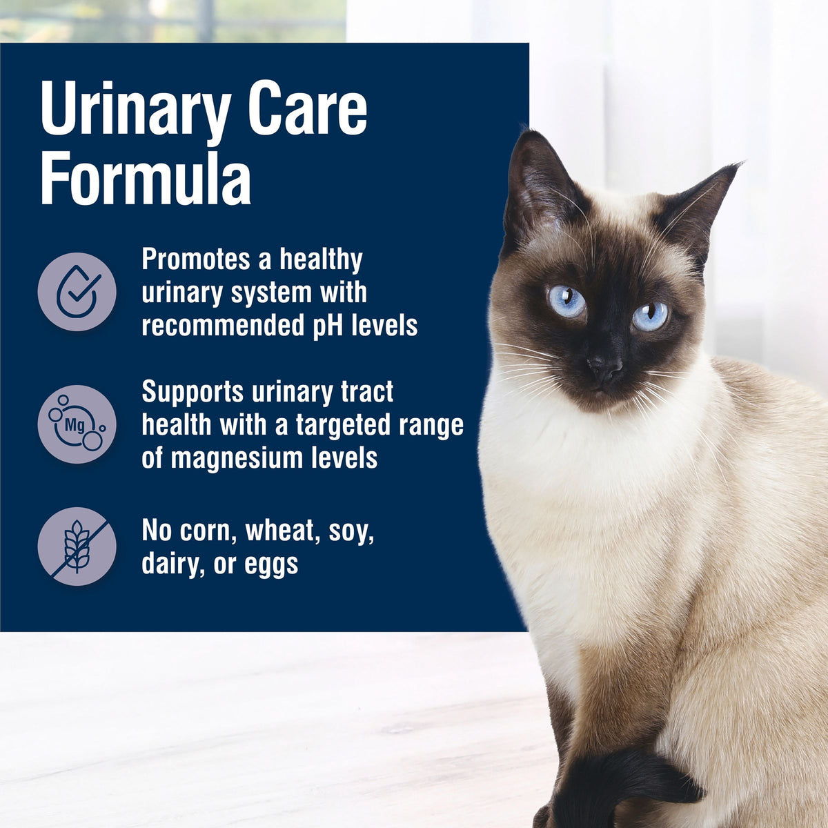 (6 pack) Blue Buffalo True Solutions Urinary Care Wet Cat Food, 3-oz. Can — product image 5