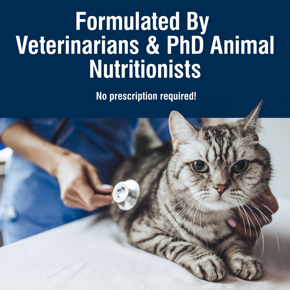 (6 pack) Blue Buffalo True Solutions Urinary Care Wet Cat Food, 3-oz. Can — product image 9