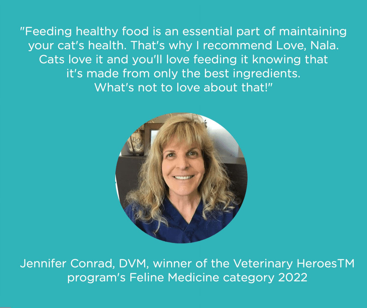 (6 pack) Love, Nala Adult Cat Flaked Wet Cat Food Tuna & Salmon Recipe in Broth, 2.8 oz — product image 5