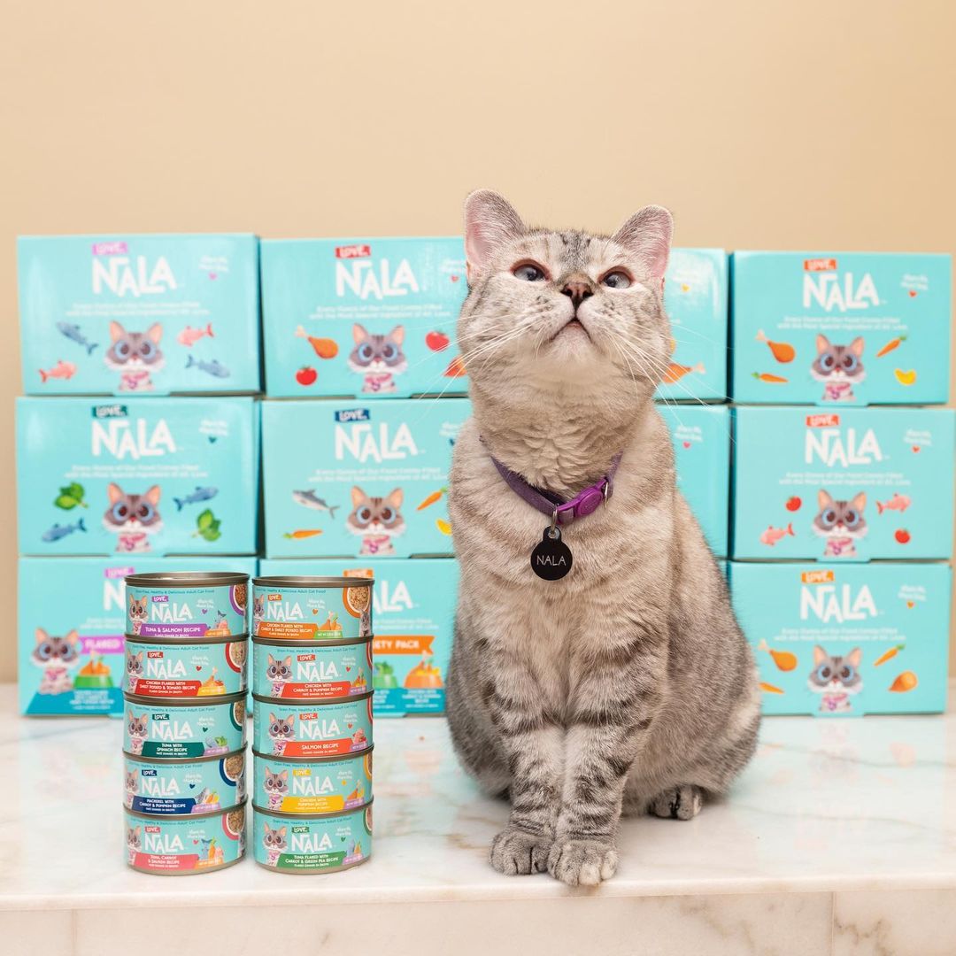 (6 pack) Love, Nala Adult Cat Flaked Wet Cat Food Tuna & Salmon Recipe in Broth, 2.8 oz — product image 6