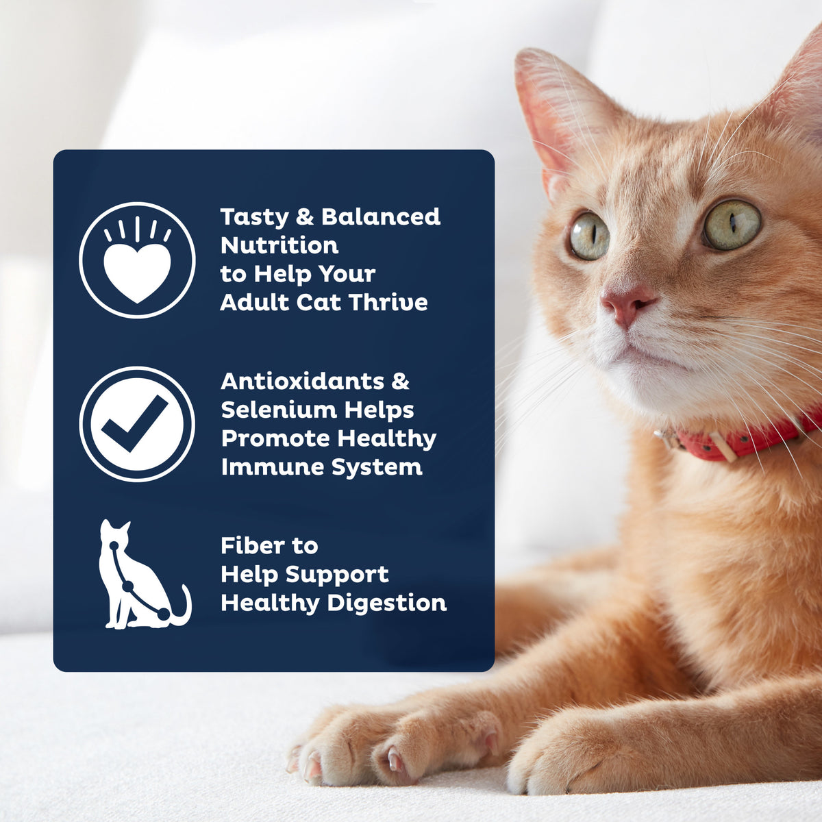 9Lives PLUS Urinary Tract Health Dry Cat Food, 3.15 lb. Bag — product image 5