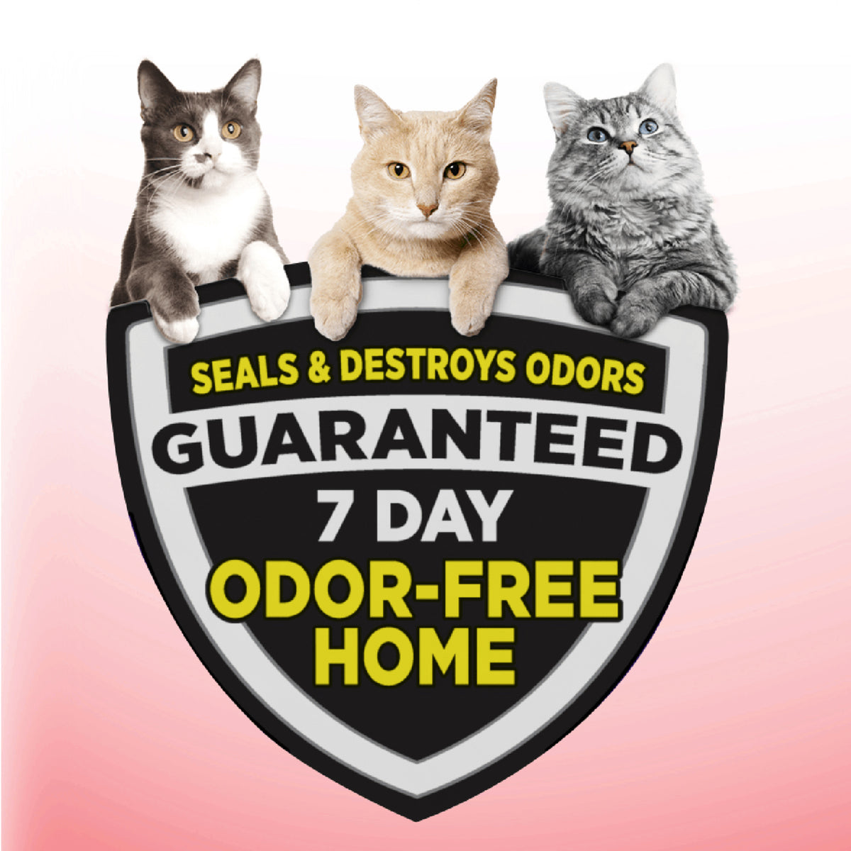 ARM & HAMMER Clump & Seal Cat Litter with Ultra Odor Blasters, Multi-Cat Formula, Scented, 28 lbs — product image 2