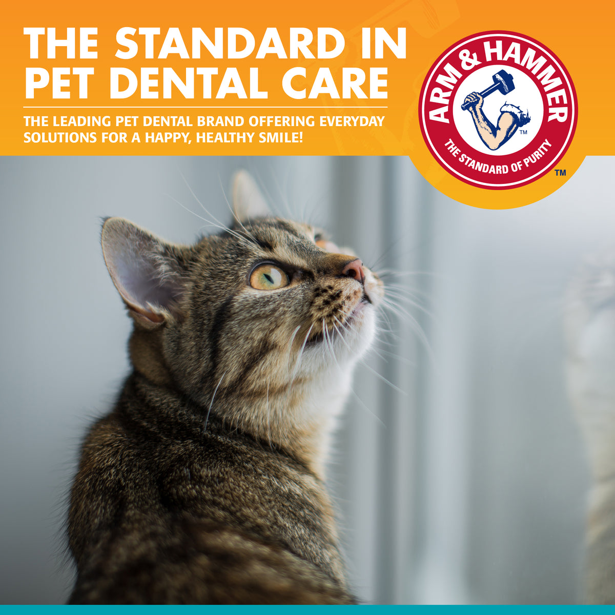 Arm & Hammer Fresh Breath Dental Kit for Cats — product image 7