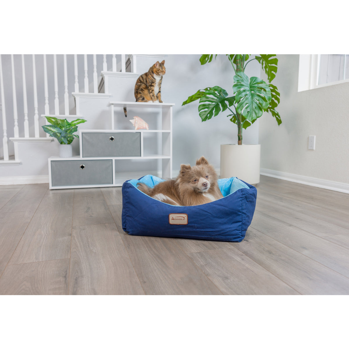 Armarkat Pet Bed 18-Inch Long C09HSL/TL, Blue — product image 5