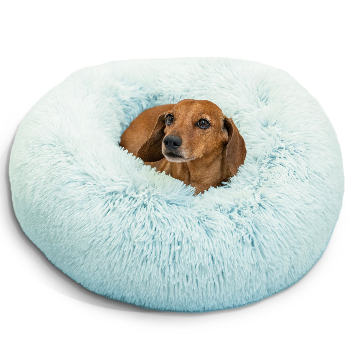 Best Friends by Sheri Original Calming Donut Dog and Cat Bed, Shag Faux Fur, Baby Blue, (23in x 23in) - Anxiety Relief for Pets Up to 25 lbs