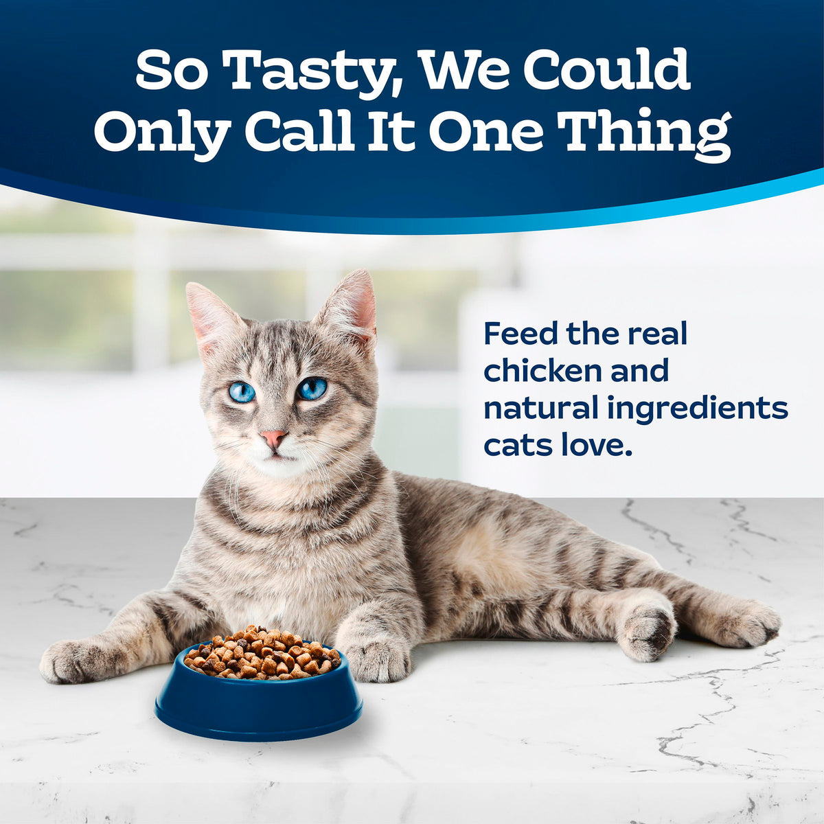 Blue Buffalo Tastefuls Adult Cat Hairball Control Dry Food, Chicken & Brown Rice, 5lb — product image 3