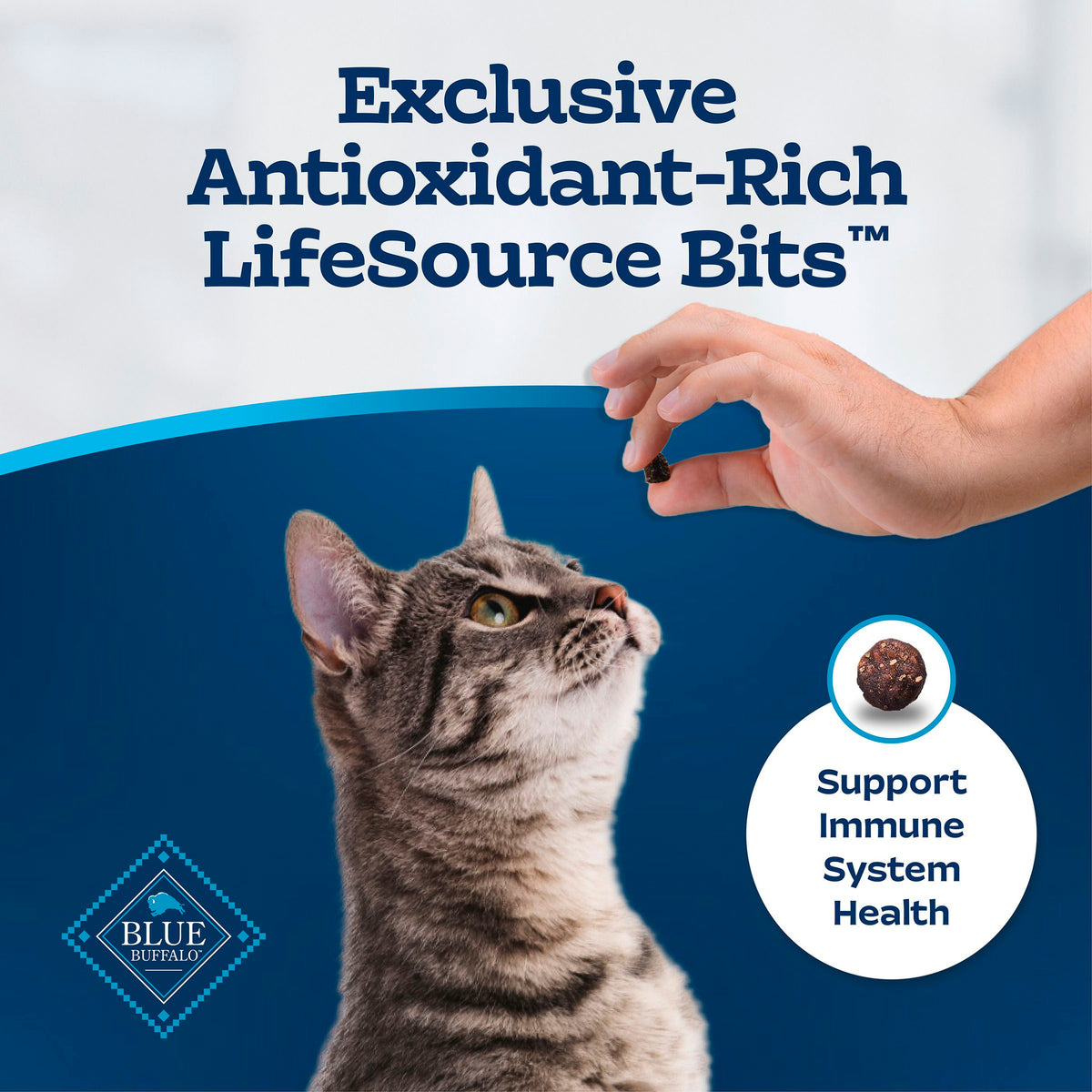 Blue Buffalo Tastefuls Adult Cat Hairball Control Dry Food, Chicken & Brown Rice, 5lb — product image 7