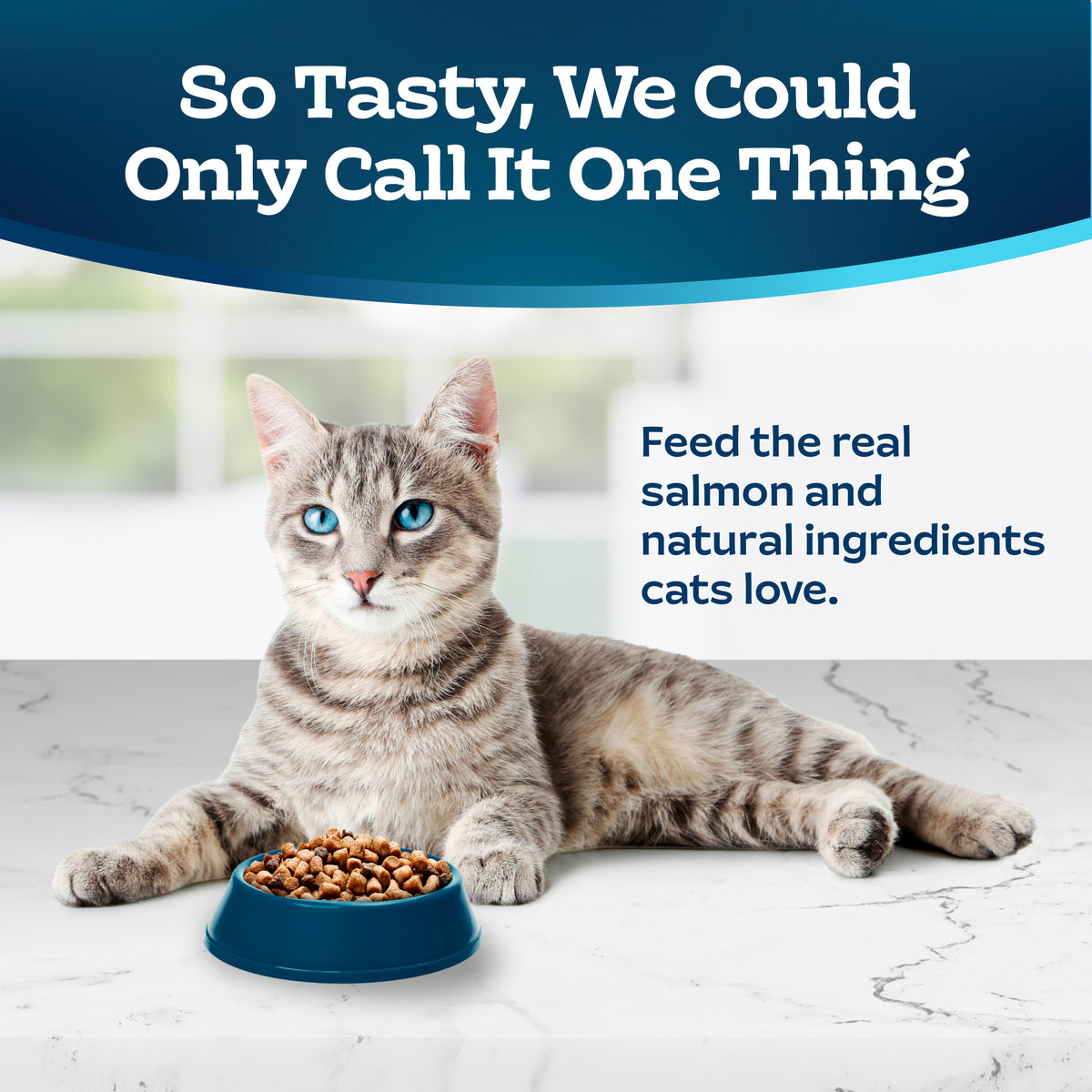 Blue Buffalo Tastefuls Dry Food, Adult Indoor Cat, Salmon and Brown Rice, 5-lb. Bag — product image 3