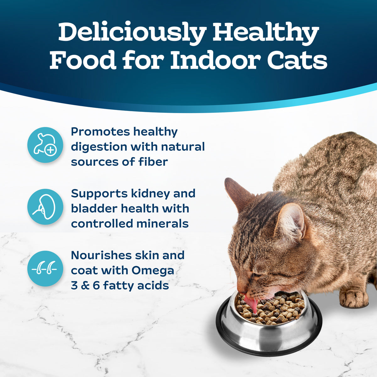 Blue Buffalo Tastefuls Dry Food, Adult Indoor Cat, Salmon and Brown Rice, 5-lb. Bag — product image 4