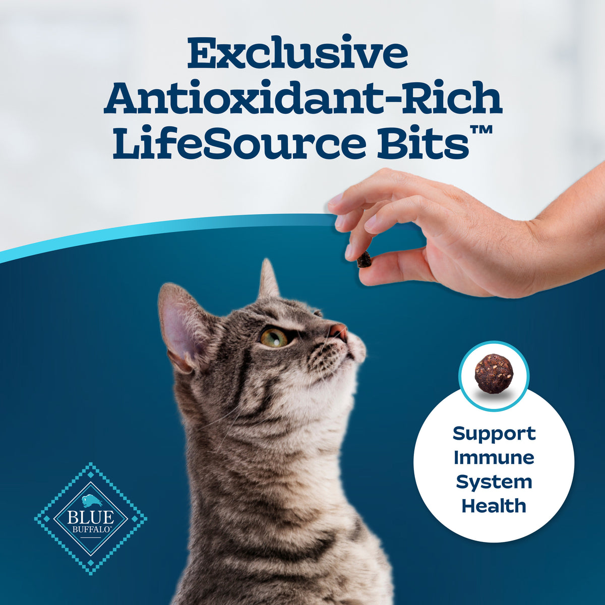 Blue Buffalo Tastefuls Dry Food, Adult Indoor Cat, Salmon and Brown Rice, 5-lb. Bag — product image 7