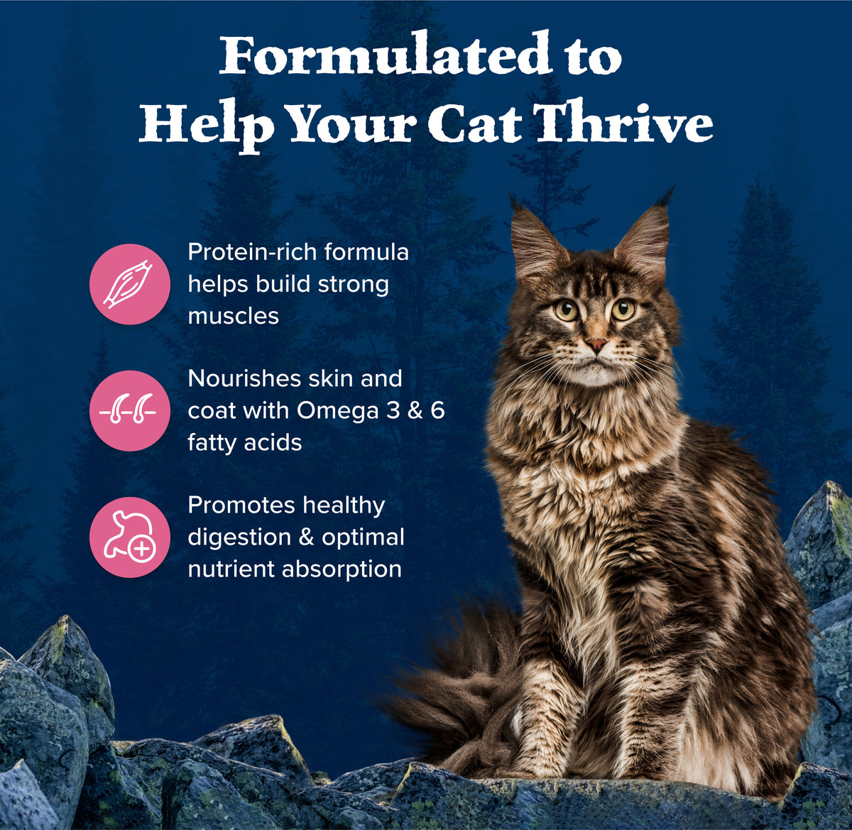 Blue Buffalo Wilderness Natural High Protein Dry Food for Adult Cats, Salmon, 4-lb Bag — product image 4
