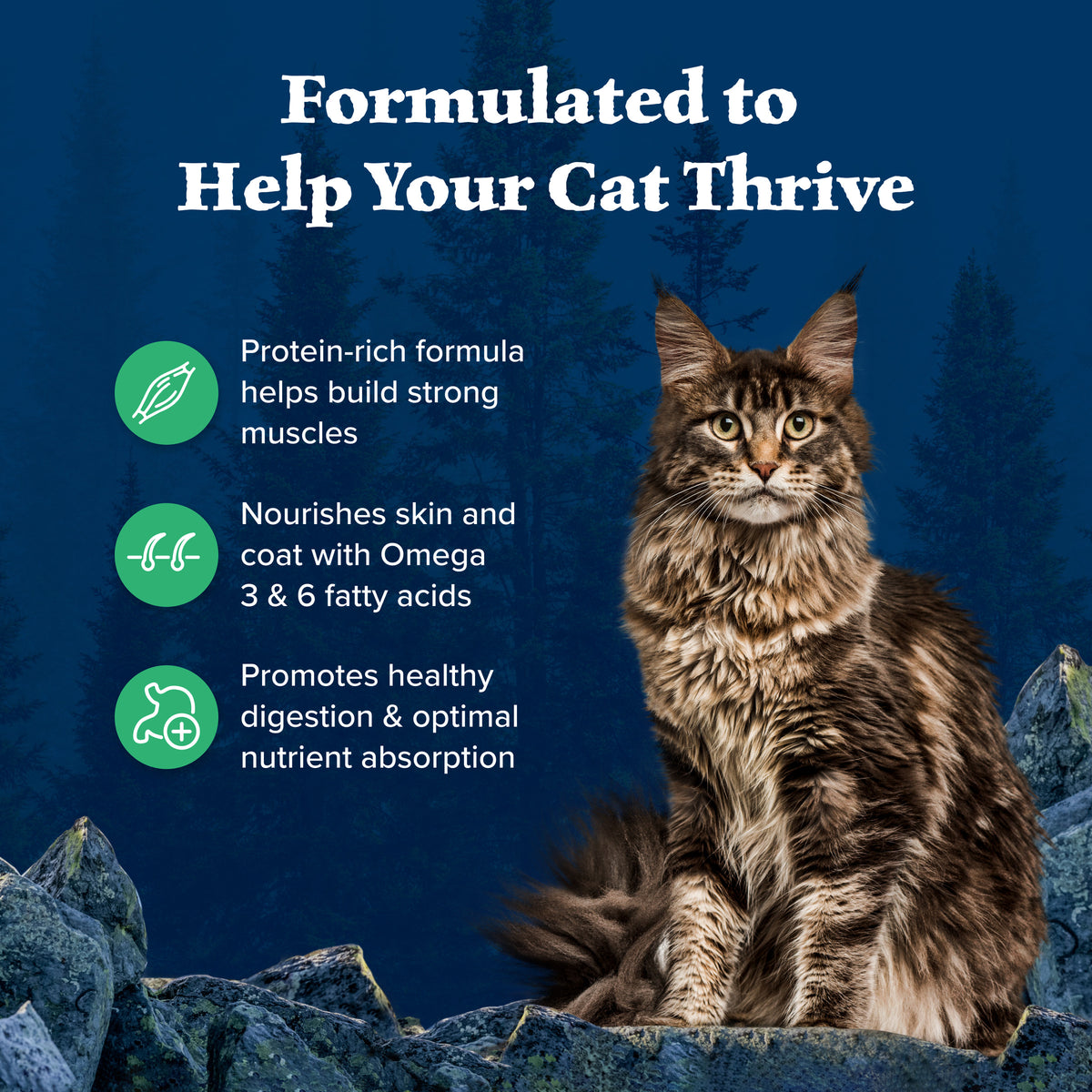 Blue Buffalo Wilderness Natural High-Protein, Grain-Free Dry Cat Food, Duck, 4-lb. Bag — product image 4