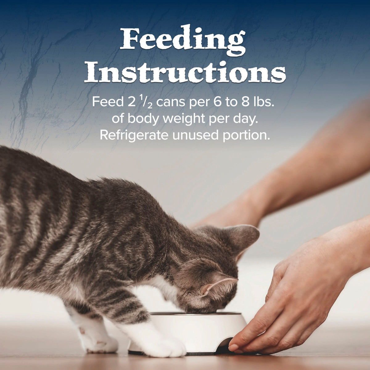 Blue Buffalo Wilderness Wild Delights Grain Free Wet Cat Food, Chicken & Turkey, 3oz Can — product image 11