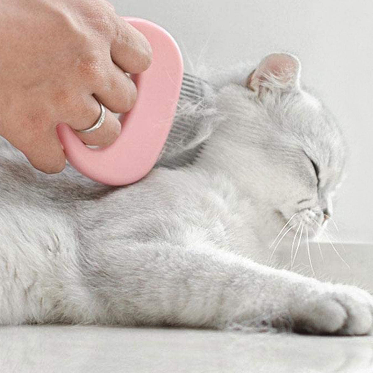 Cat Pet Hair Removal and Massaging Shell Comb Brush - 2 Pack — product image 5