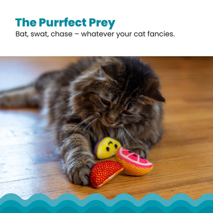 Catstages Dental Fruit Wedges Catnip Chew Toys, 4-Pack, Multicolored — product image 3