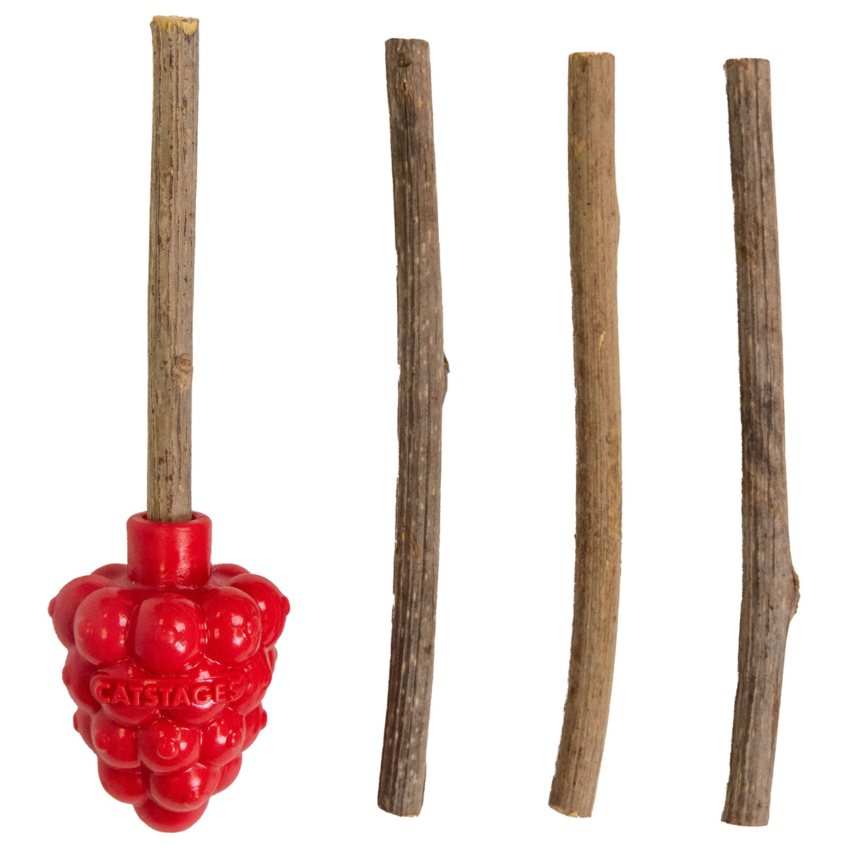 Catstages Dental Raspberry Teether with Silvervine Sticks, Cat Teething Toy, Red