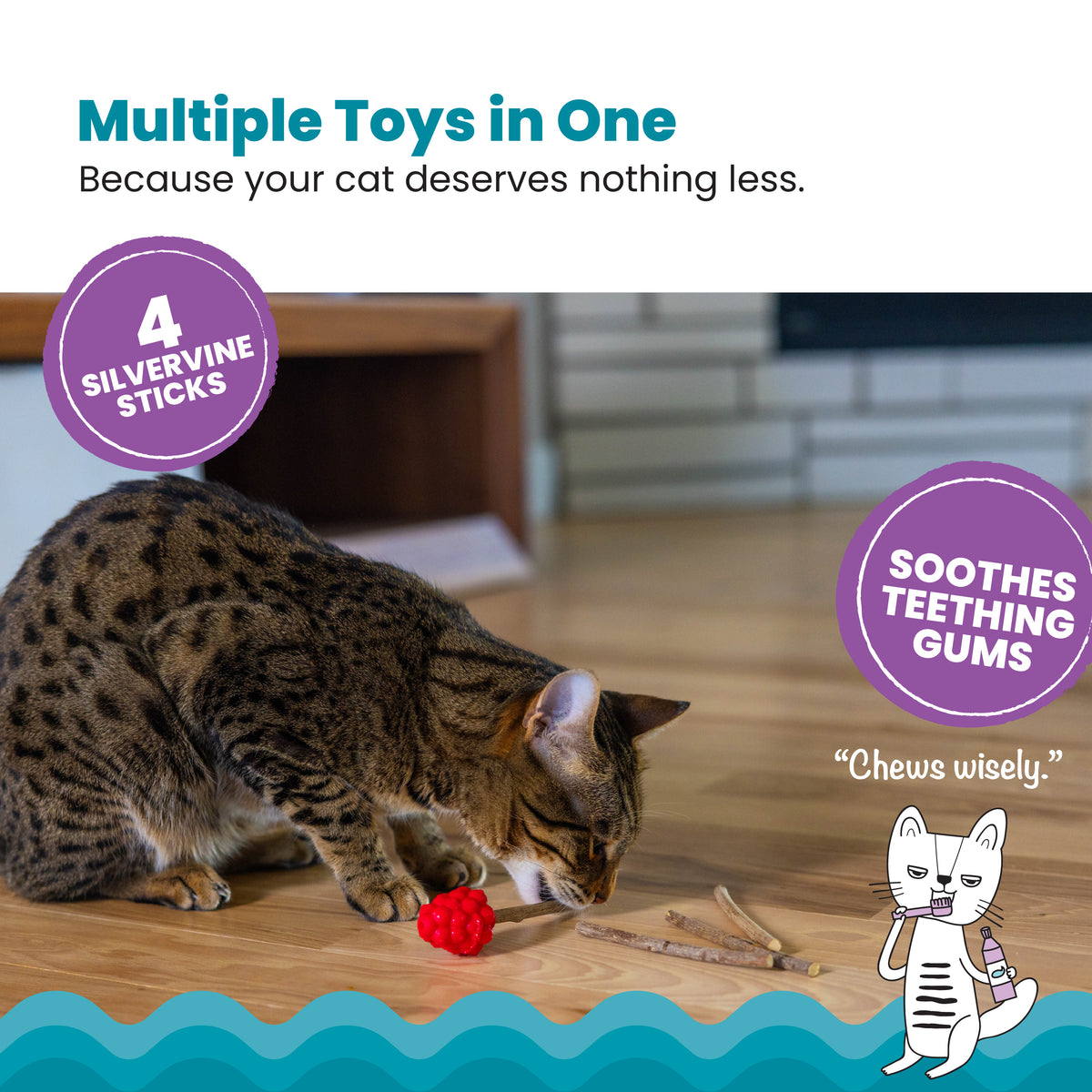 Catstages Dental Raspberry Teether with Silvervine Sticks, Cat Teething Toy, Red — product image 2