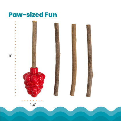 Catstages Dental Raspberry Teether with Silvervine Sticks, Cat Teething Toy, Red — product image 4