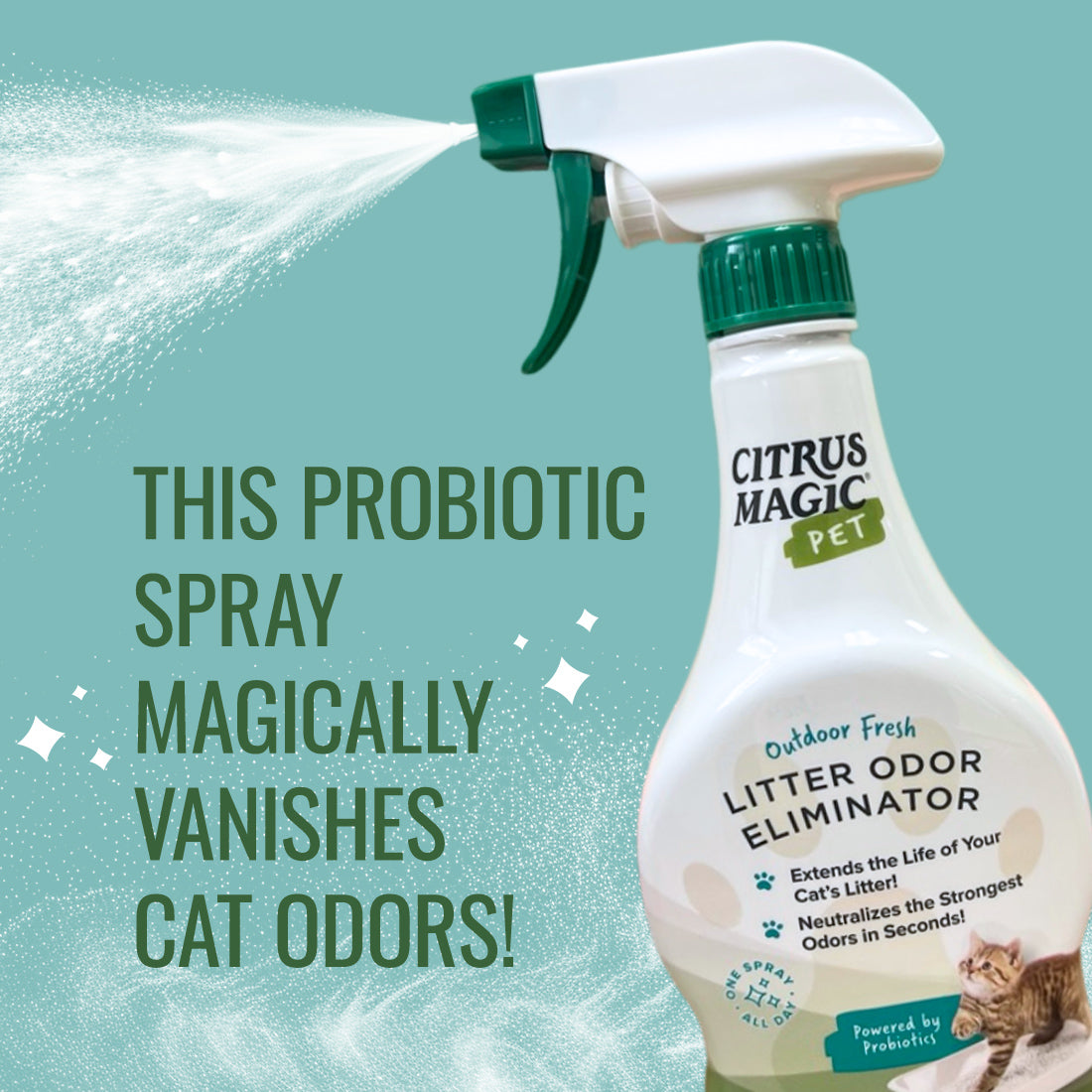 Citrus Magic Outdoor Fresh Pet Probiotic Litter Odor Eliminator Spray, 16-Fluid Ounce — product image 4