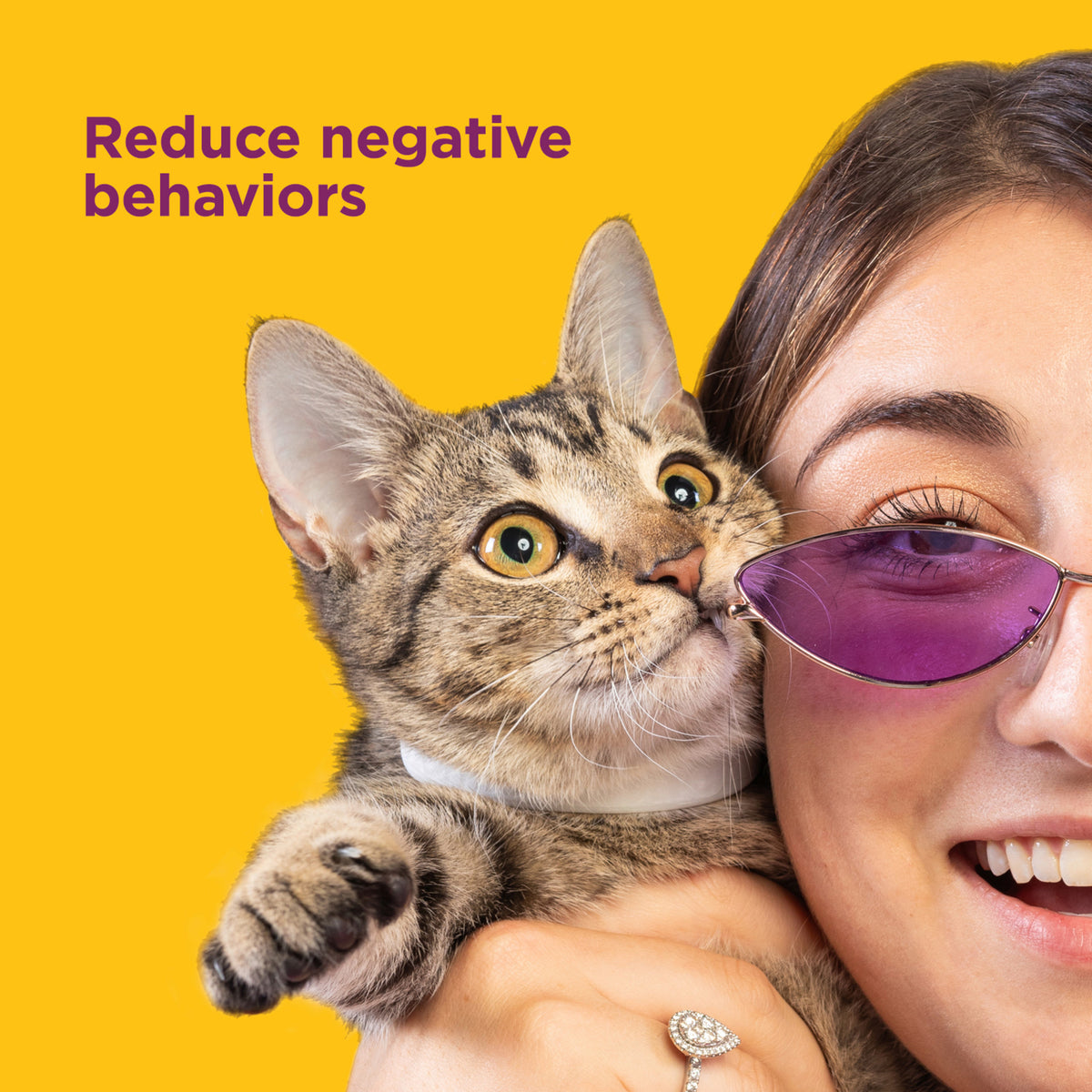 Comfort Zone Calming Collar for Cats: 1 Pack — product image 4