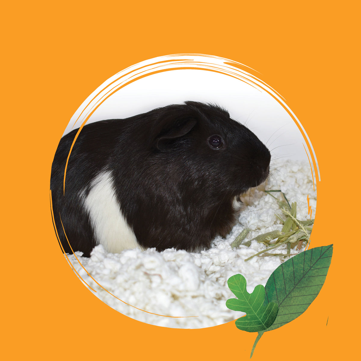 CritterCare Snowflake Natural Paper Small Pet Bedding, 10L — product image 4