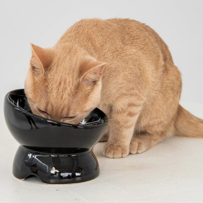 Dexypaws: Elevated Ceramic Cat Bowl - Black - 7oz, Pet Feeding Dish, Meals, Food & Water, Ergonomic Height, Tilted & Raised, Stylish Glossy Design — product image 2