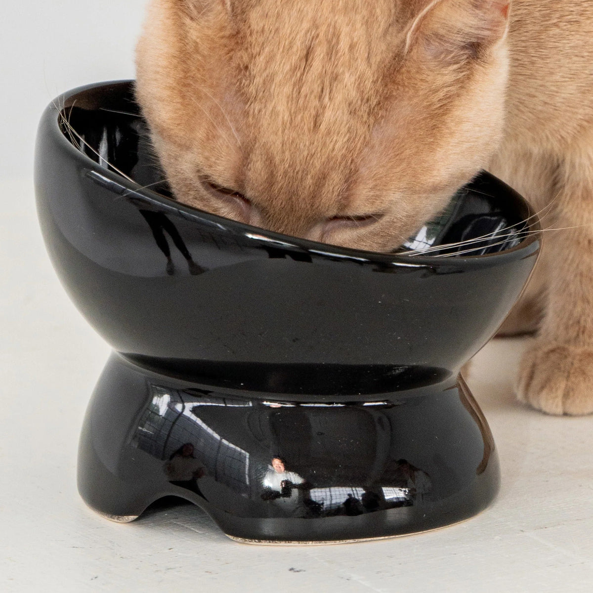 Dexypaws: Elevated Ceramic Cat Bowl - Black - 7oz, Pet Feeding Dish, Meals, Food & Water, Ergonomic Height, Tilted & Raised, Stylish Glossy Design — product image 6