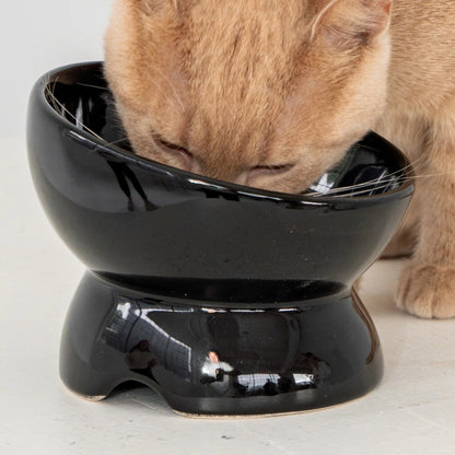 Dexypaws: Elevated Ceramic Cat Bowl - Black - 7oz, Pet Feeding Dish, Meals, Food & Water, Ergonomic Height, Tilted & Raised, Stylish Glossy Design — product image 6