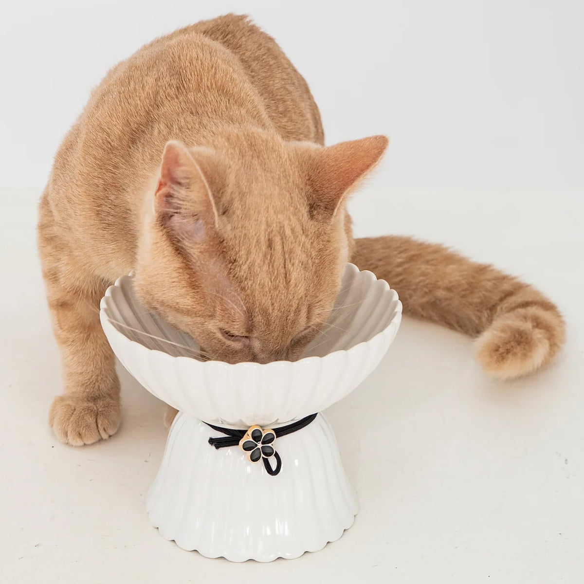 Dexypaws: Elevated Ceramic Cat Bowl - Blush Pink & Rose Gold Flower - 8.45oz, Stylish Pet Feeding Dish, Meals, Food & Water, Ergonomic Height, Raised — product image 5