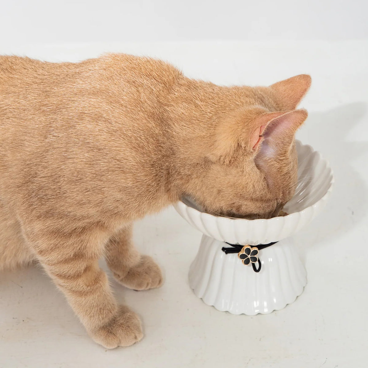 Dexypaws: Elevated Ceramic Cat Bowl - Blush Pink & Rose Gold Flower - 8.45oz, Stylish Pet Feeding Dish, Meals, Food & Water, Ergonomic Height, Raised — product image 6