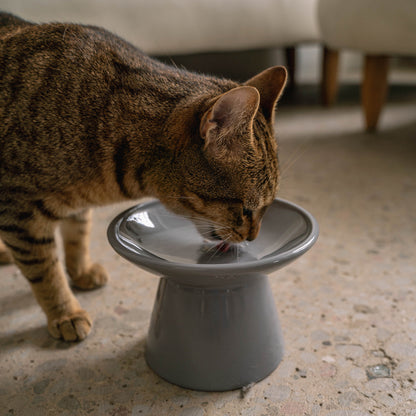 Dexypaws: Flat Top Ceramic Cat Bowl - Grey - 7.5oz, Pet Feeding Dish, Meals, Food & Water, Raised Ergonomic Height, Whisker Friendly, Stylish Design — product image 2