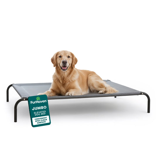 Elevated Cot Pet Bed, Graphite Gray, Extra Large