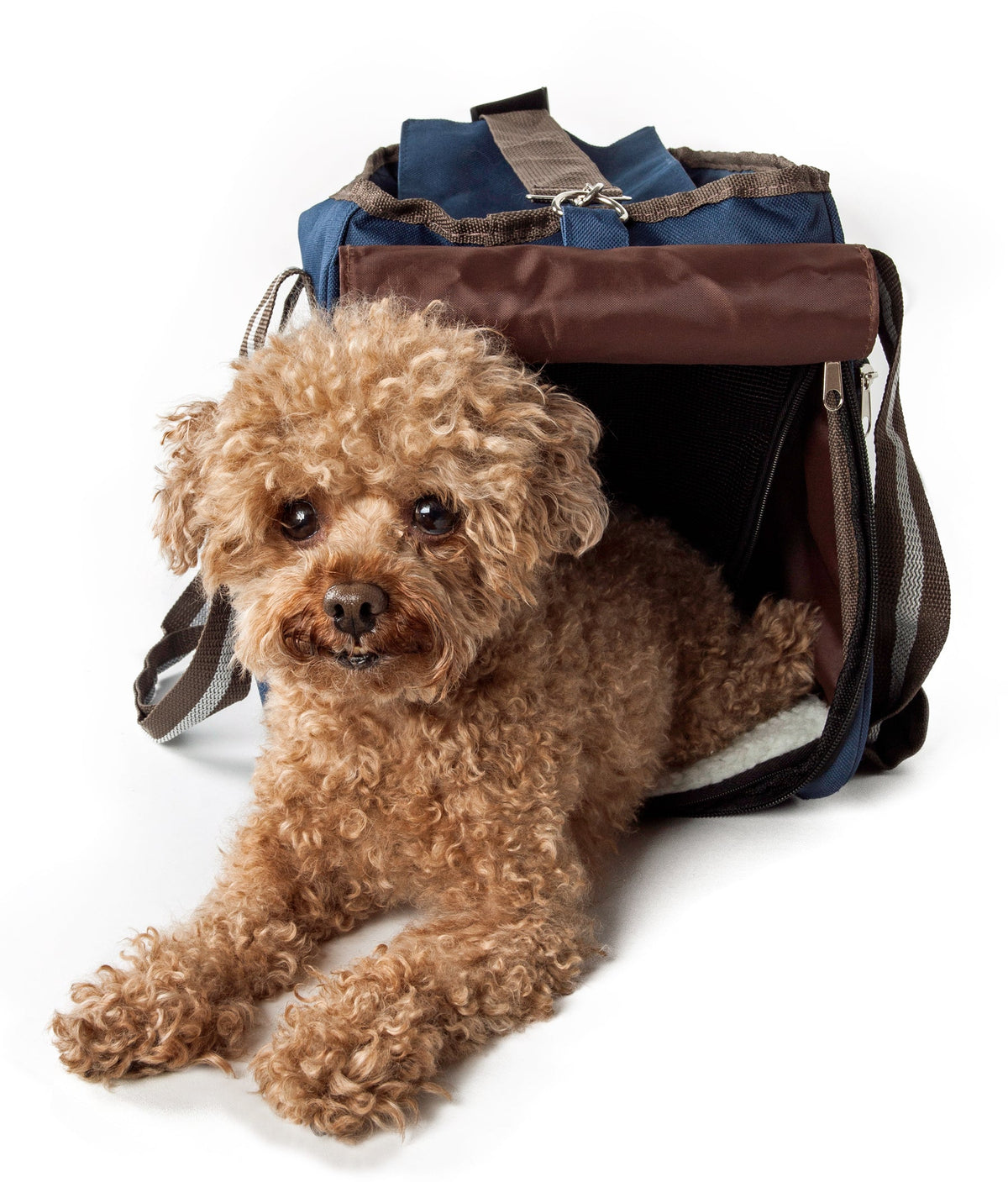 Fashion Canvas Pet Carrier — product image 2