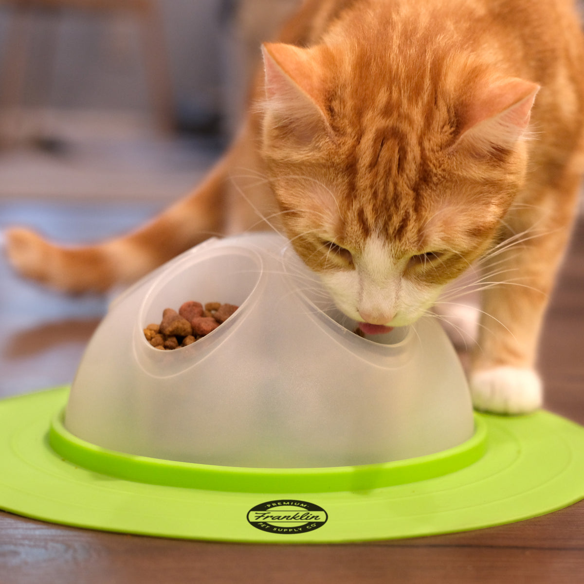 Franklin Pet Supply Interactive Cat Digging Slow Feeder Bowl - Toy Cat Bowl for Treats + Food - Scratching Bowl Slow Feeder - Interactive Toy + Slow Feeder Bowl for Cats + Kittens — product image 12