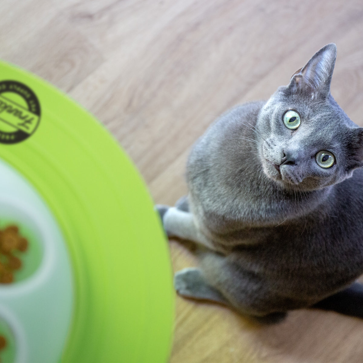 Franklin Pet Supply Interactive Cat Digging Slow Feeder Bowl - Toy Cat Bowl for Treats + Food - Scratching Bowl Slow Feeder - Interactive Toy + Slow Feeder Bowl for Cats + Kittens — product image 13