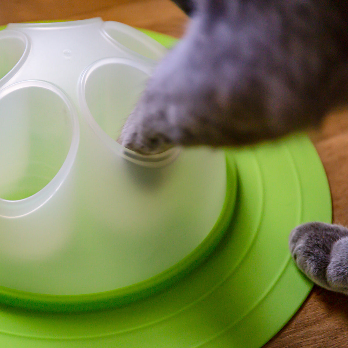Franklin Pet Supply Interactive Cat Digging Slow Feeder Bowl - Toy Cat Bowl for Treats + Food - Scratching Bowl Slow Feeder - Interactive Toy + Slow Feeder Bowl for Cats + Kittens — product image 14
