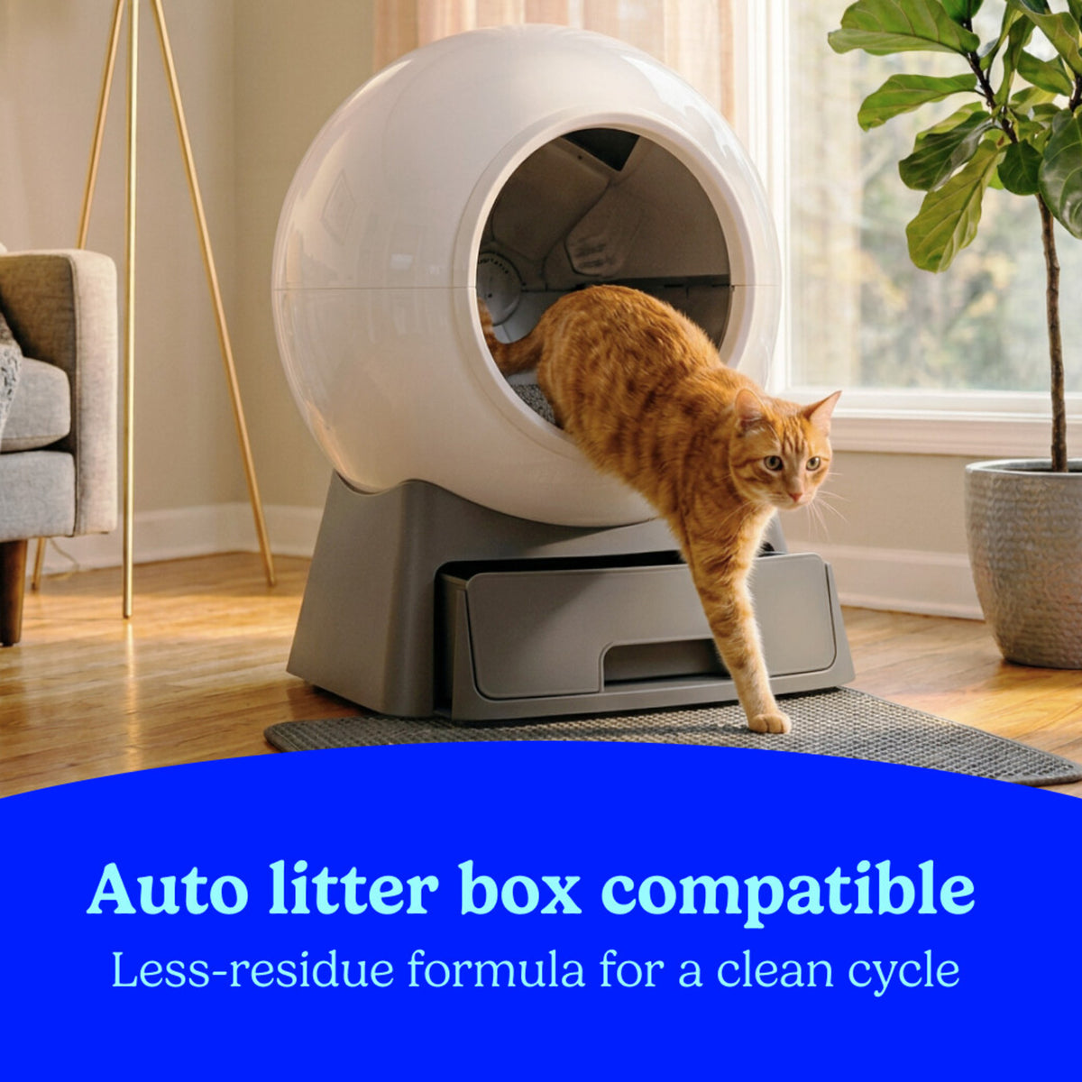 Fresh Step Clean Paws Multi-Cat Clumping Cat Litter, Febreze Freshness Scent,38 lb, Easy Pour Pouches (4 Pack) — product image 12